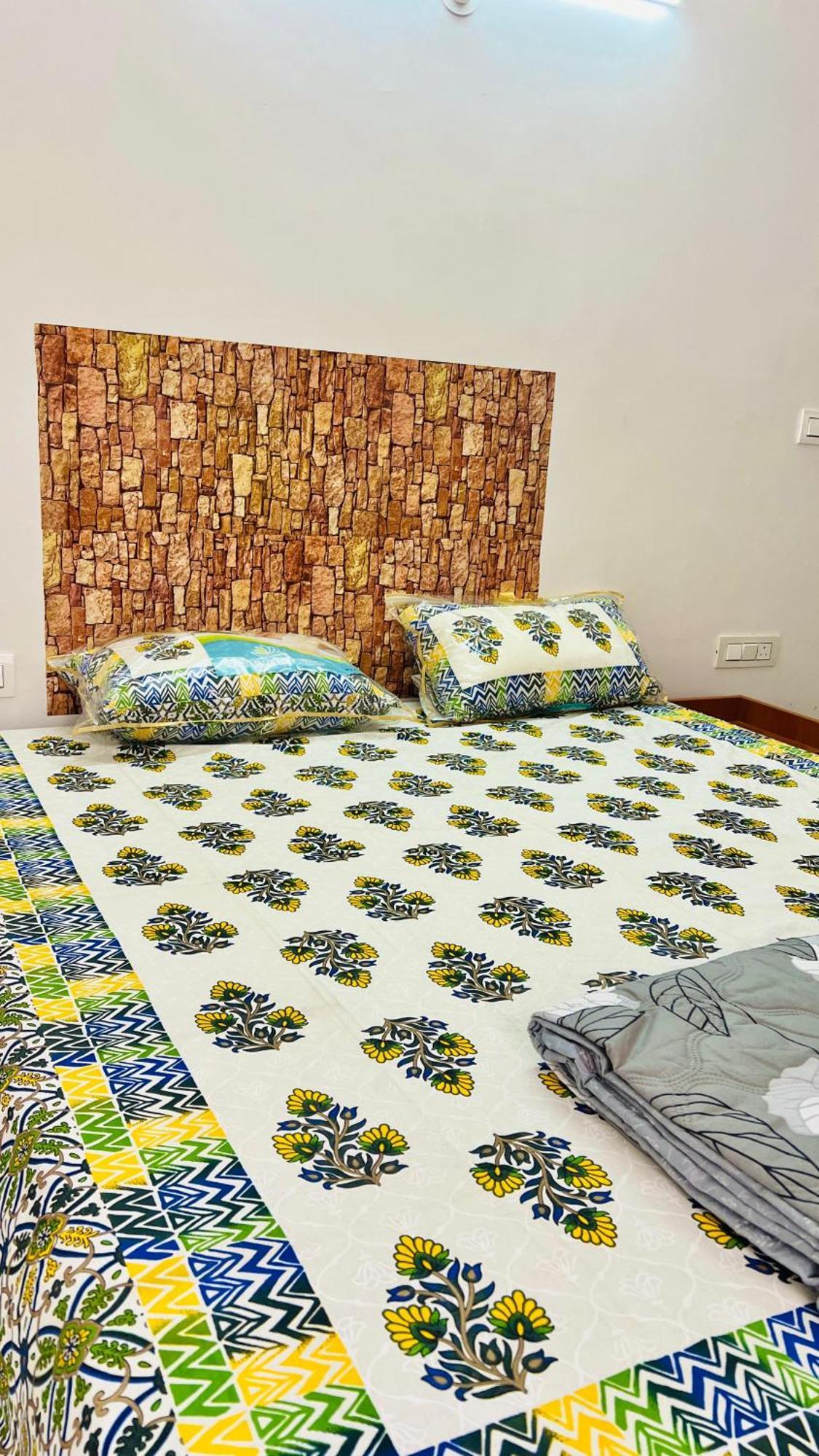 أُودايبور Padmlaxmi Guest House المظهر الخارجي الصورة